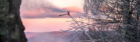 cheat mountain magic