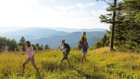 backcountry hiking trails at snowshoe mountain