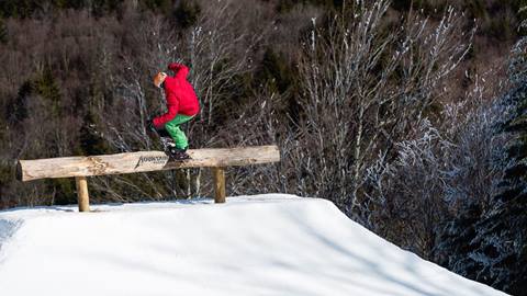 freestyle terrain park safety