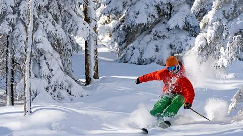 skier responsibility code