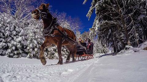 Sleigh Ride