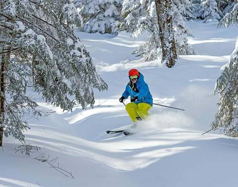 glade skiing at snowshoe mountain
