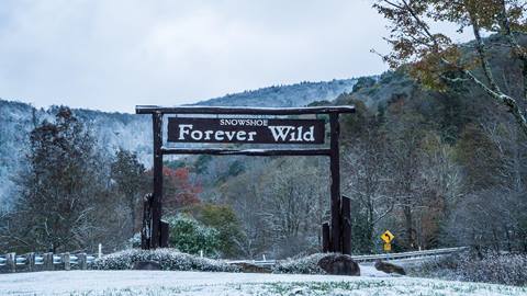 2018-10-21_SN_KS_Forever wild_06128.dng