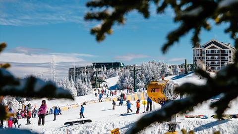 2016-05-05_SN_KS_Skidder_0001.DNG